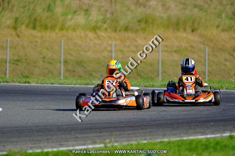 DSC_ (919).jpg